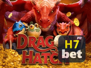 H7BET PIX instantâneo Brasil - Depósito e saque em minutos 24/7